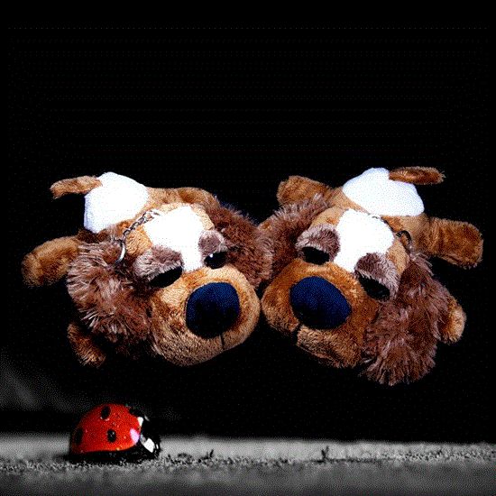 Picture of عروسک های پولیشی طرح سگ خوابیده