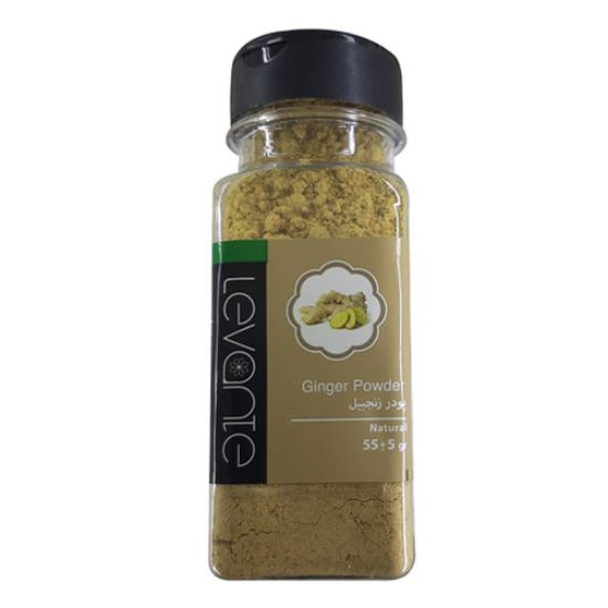 پودر زنجبیل