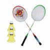 Picture of راکت بدمینتون Haotian مدل HT-308 به همراه توپ